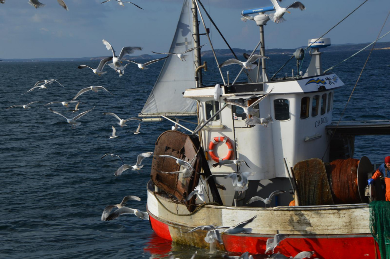 Trawling in the Koster Sea - Sustainable Fishing from Strömstad & Daftö Resort